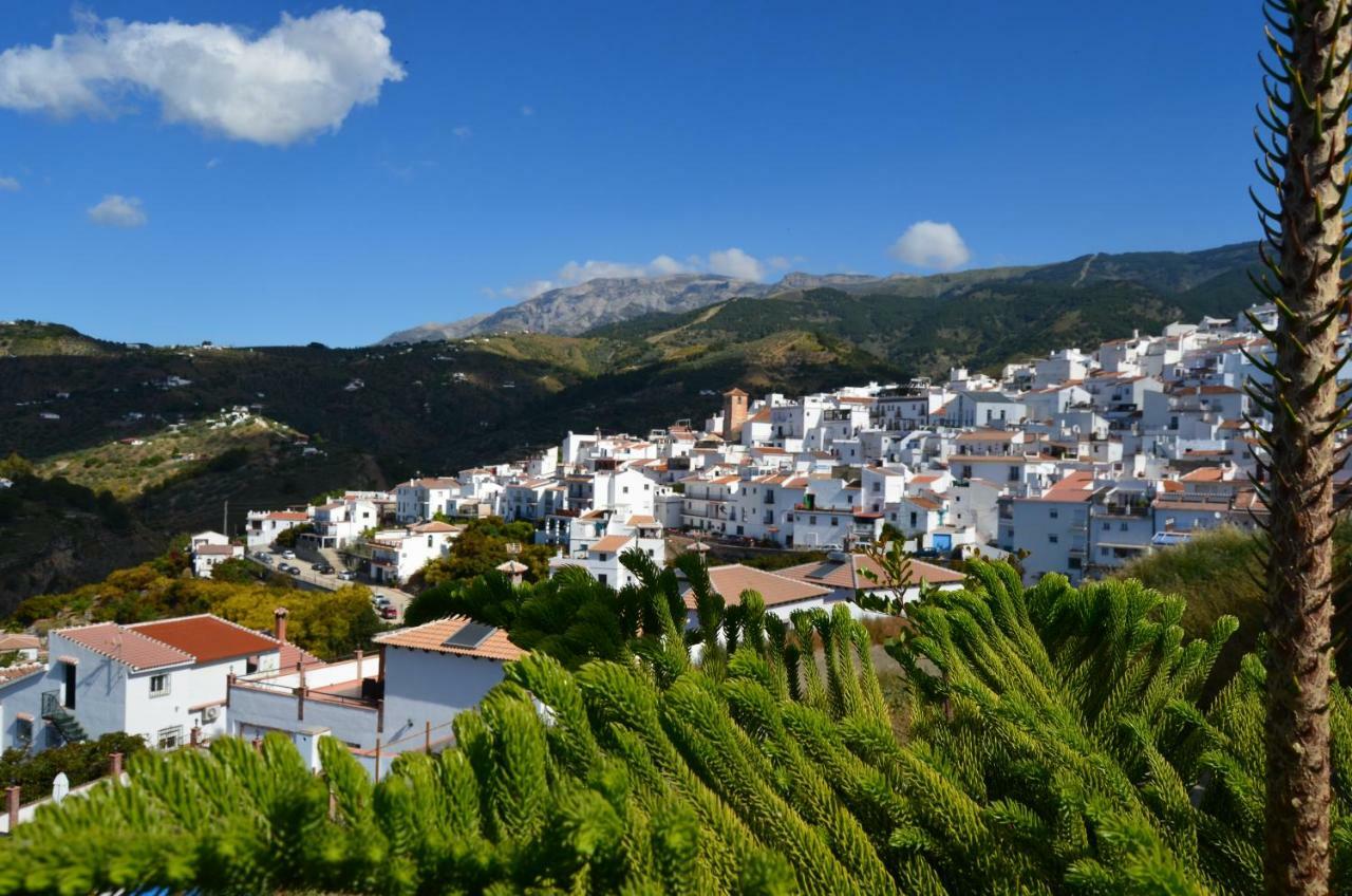 Posada La Plaza Canillas de Albaida Eksteriør billede